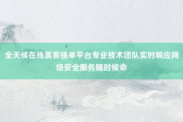 全天候在线黑客接单平台专业技术团队实时响应网络安全服务随时候命